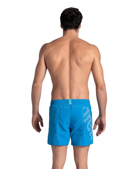 Pánské šortky arena Men's Pro_File Logo Beach Shorts