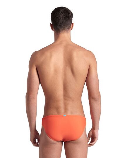 Pánské plavky arena Men's Santamarias R Beach  Briefs