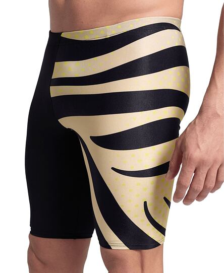 Pánské plavky arena Performance Men's Multi Stripes  Jammer