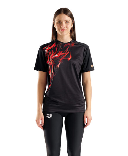Sportovní tričko Arena graphic T-shirt Indomitus