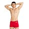 Pánské plavky arena Performance Men's Solid Team Swim Shorts