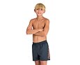 Chlapecké šortky arena Boys' Fundamentals Logo Beach Boxer R asphalt-nespola